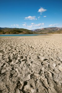 Wilderness Experience