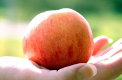 iStock_000000307662XSmall