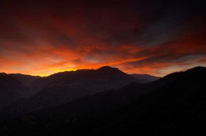 iStock_000000883811XSmall