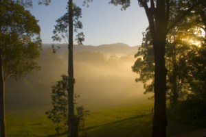 Morning Sunrise near Bellingen